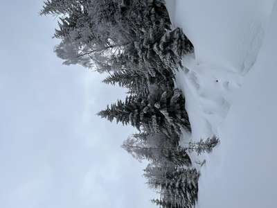 F5CA5074-70AF-464C-99C1-22992D1F0511.jpeg