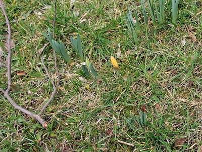 IMG-20240219-140855.jpg