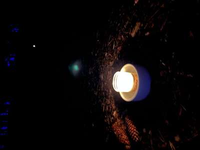 09_31F5E3A3-5A89-456D-BFA9-FFDF3D464771.jpeg