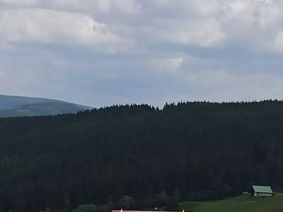 IMG-20240605-125442.jpg