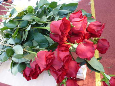 P1150944.JPG