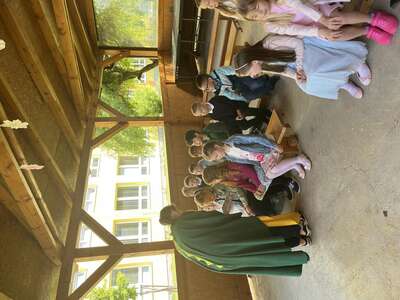 IMG-6288.jpg