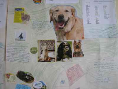 Co-uz-umime-2.2.2011-057.jpg