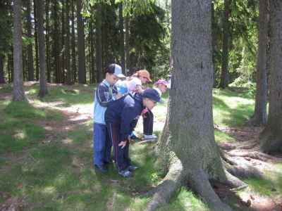 IMG-5242.jpg