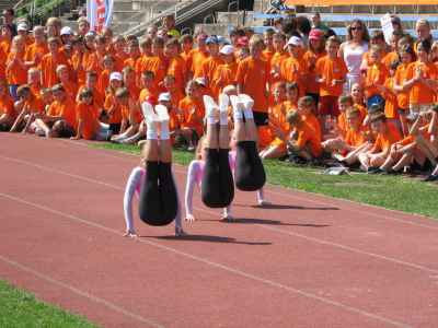 IMG-7680.jpg