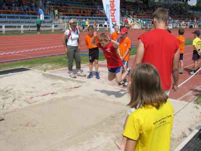 IMG-7708.jpg