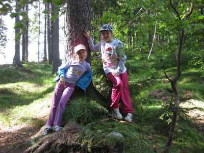 IMG-7842.JPG