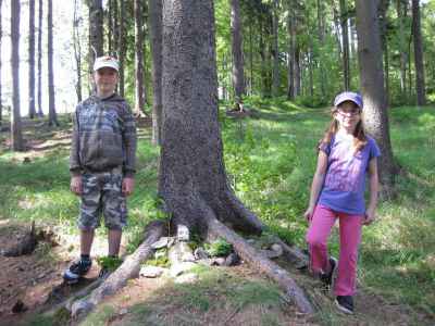 IMG-7846.JPG