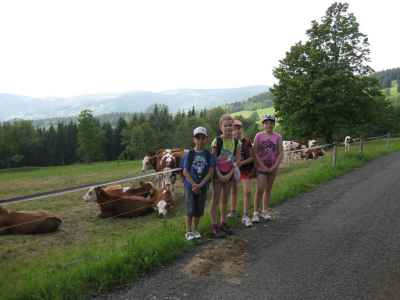 IMG-7870.JPG