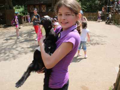 IMG-7203.JPG